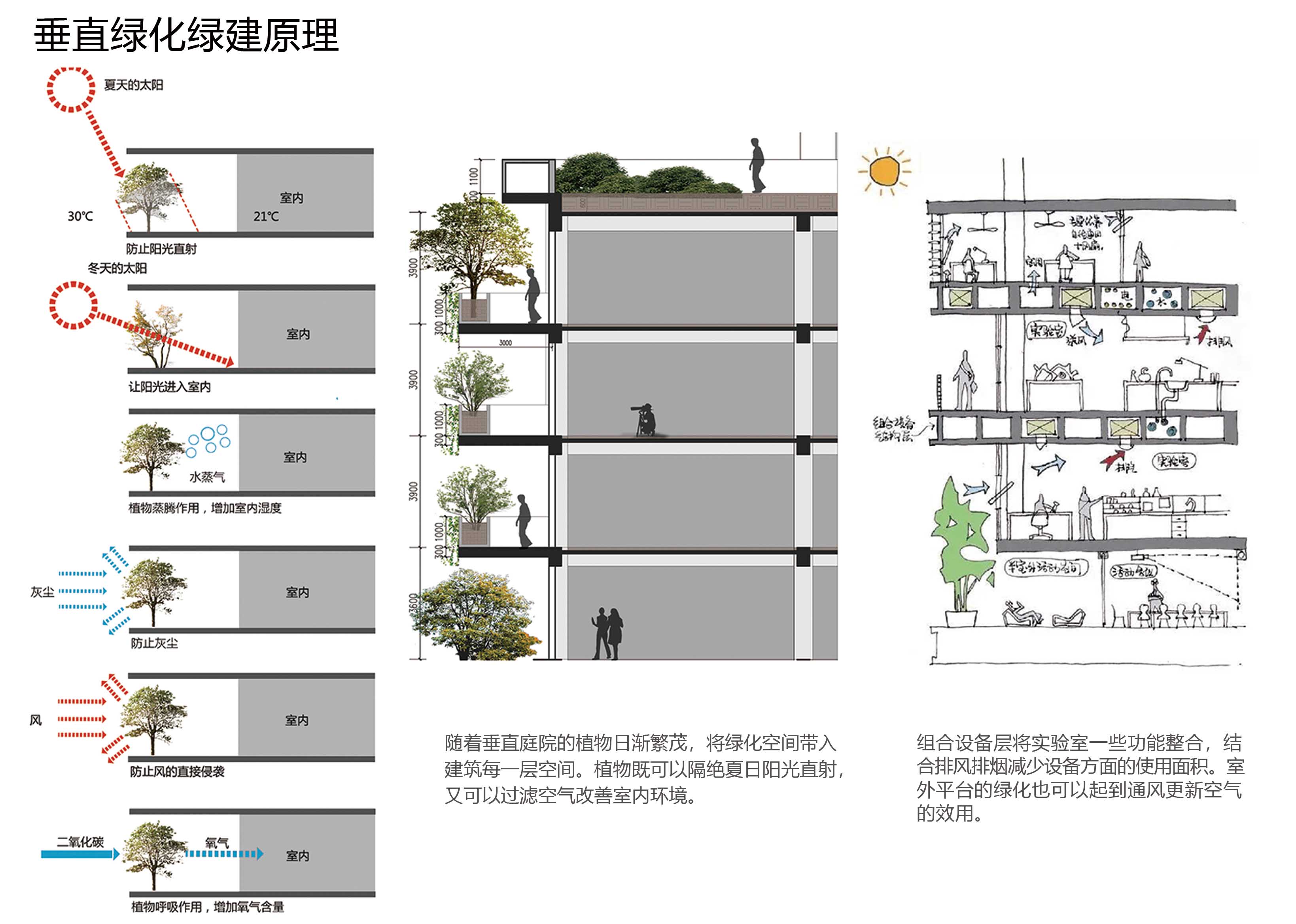 13垂直綠化綠建原理.jpg