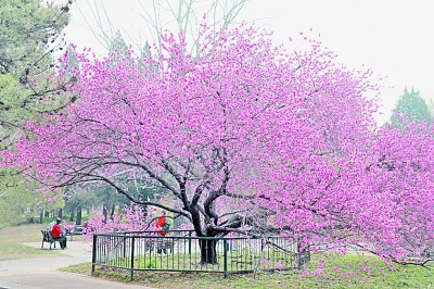 人居要聞|國家植物園，不只是看起來很美