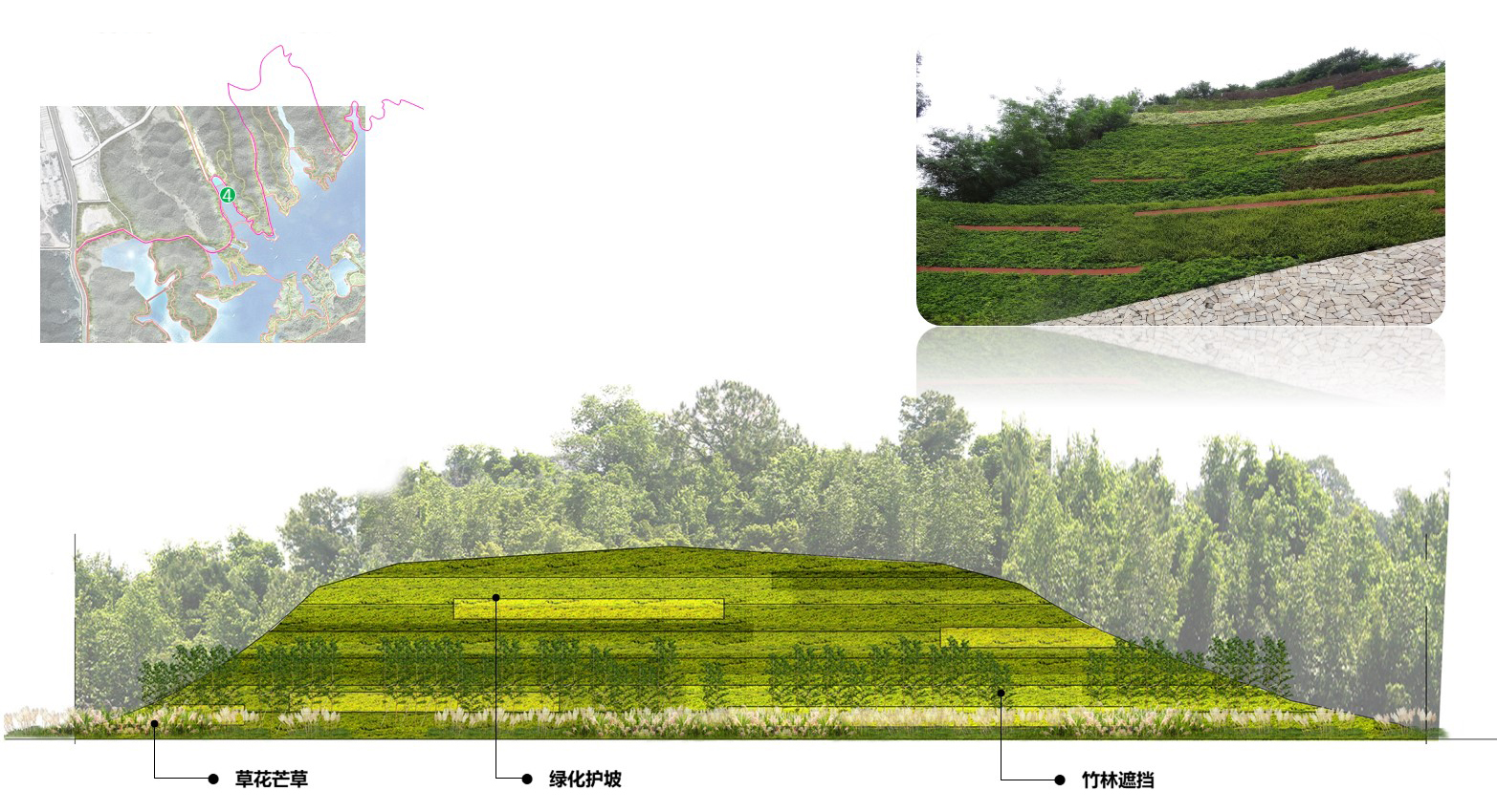 護(hù)坡綠化4立面圖.jpg